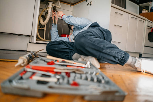 Best Water Softener Installation  in Le Mars, IA